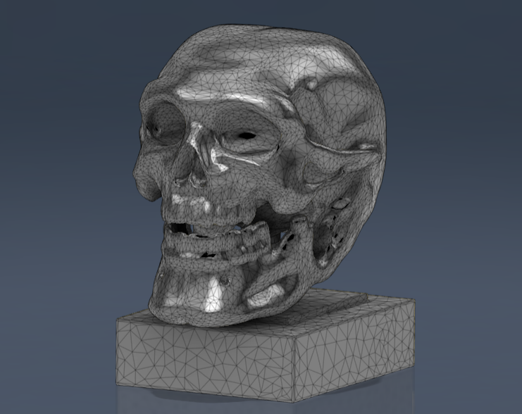 Skull — thumbnail 2