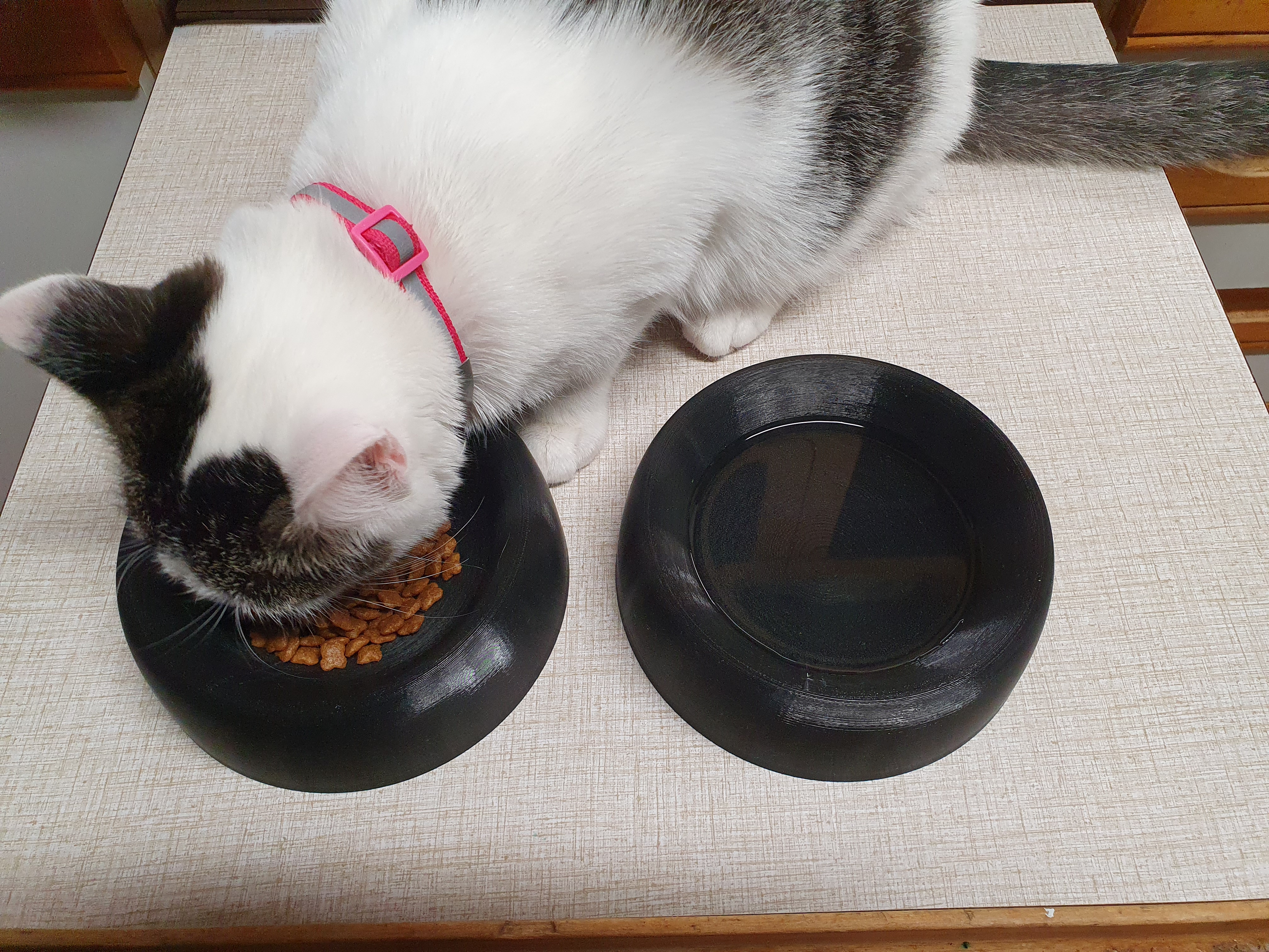 Bowl for cat's water/food