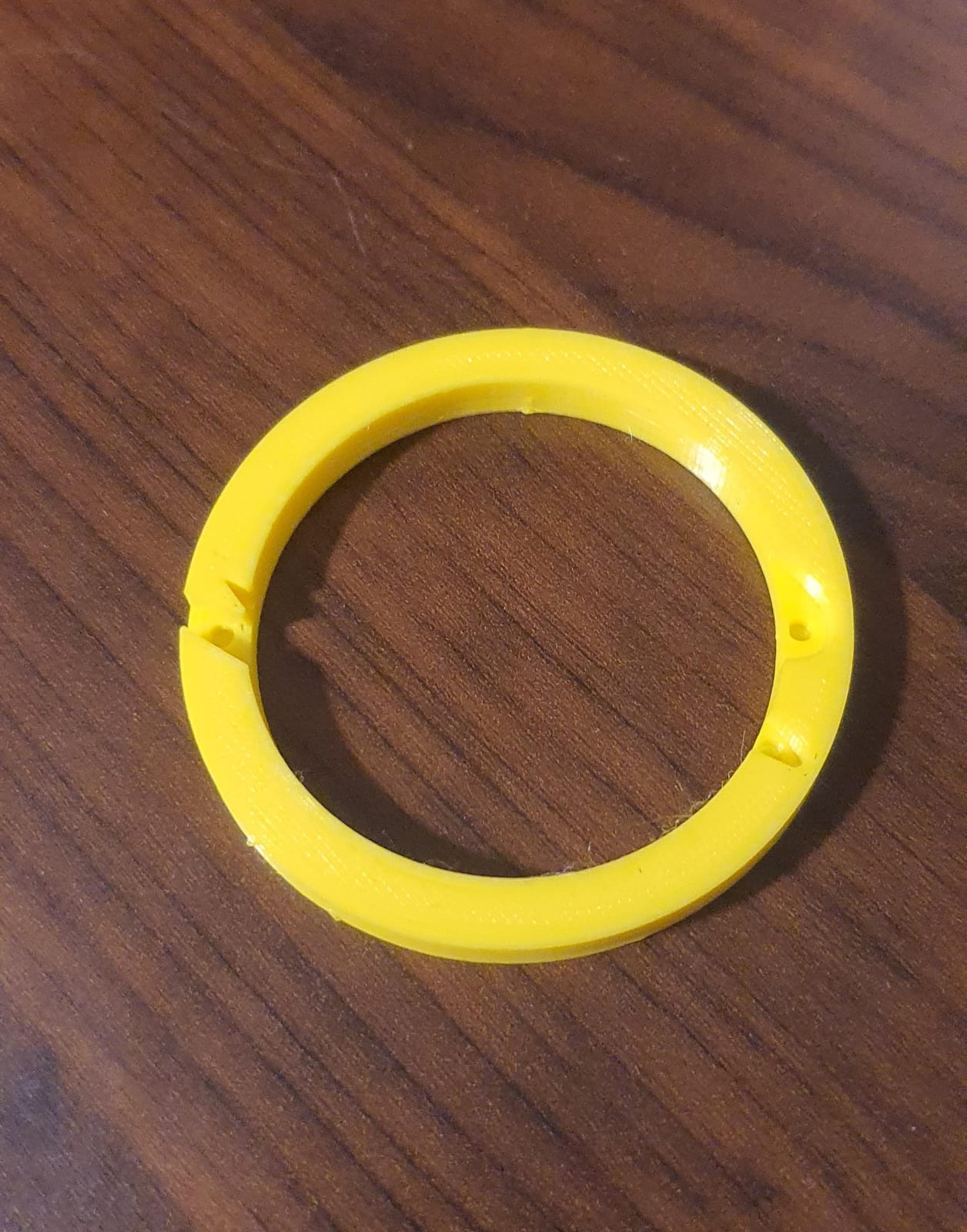 Whyte Canary Logo — miniatura 5
