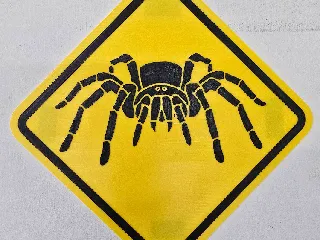 Spider - Sign by Regis | Download free STL model | Printables.com