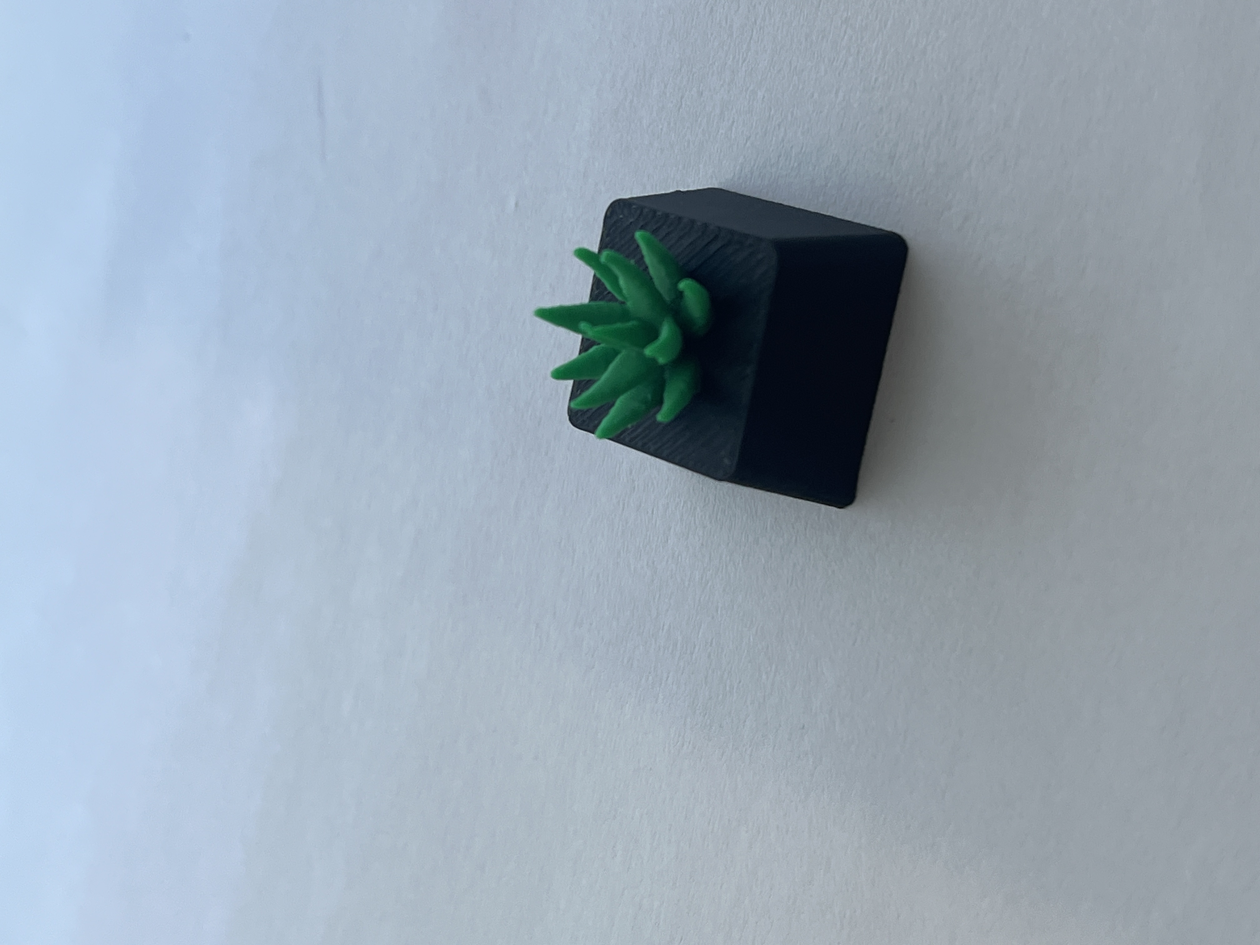 Succulent keycap — thumbnail 3