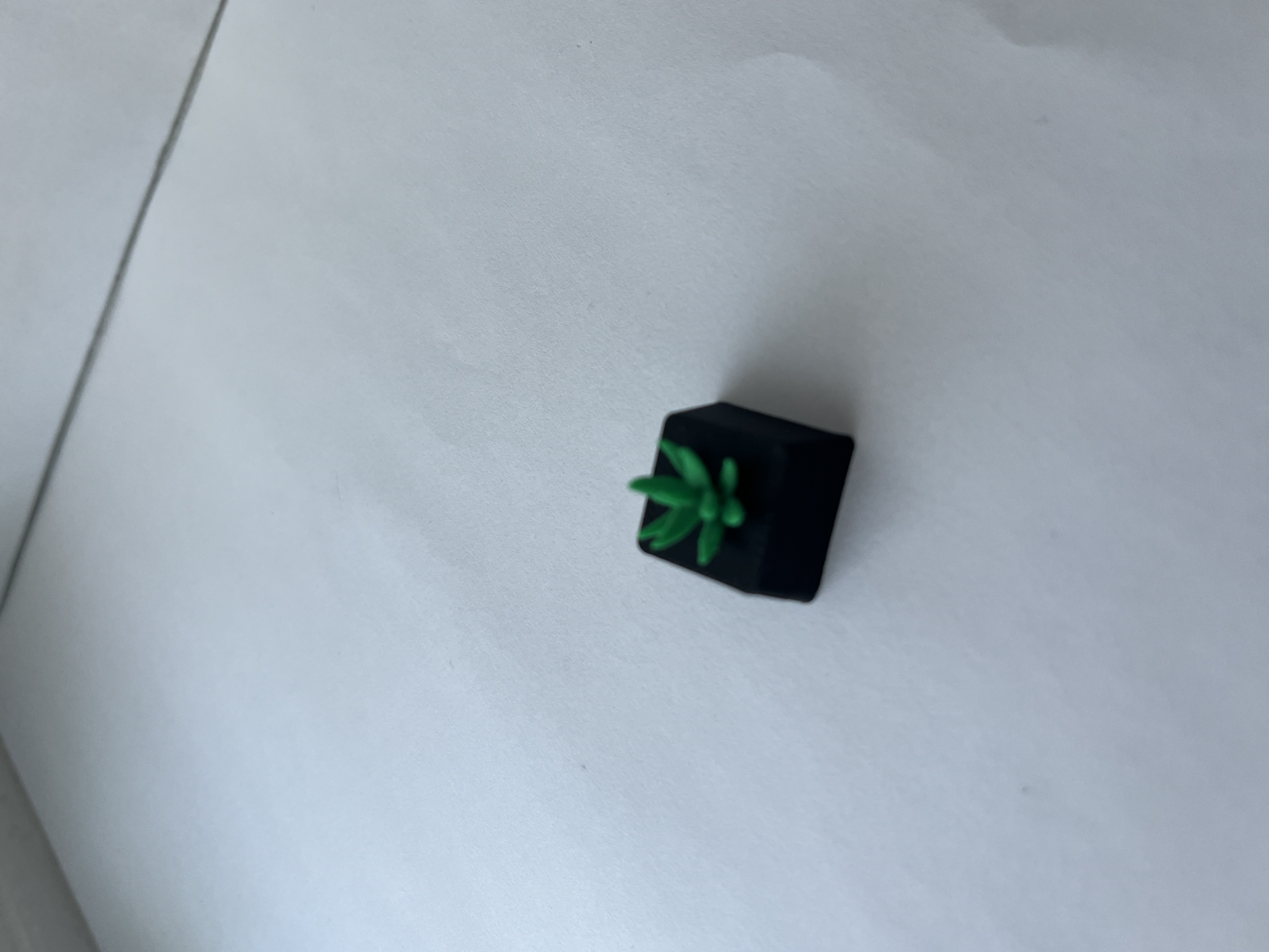 Succulent keycap — thumbnail 5