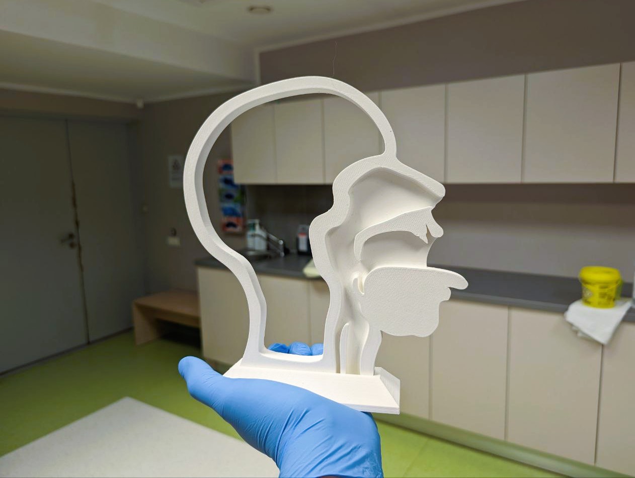 Swab test task trainer