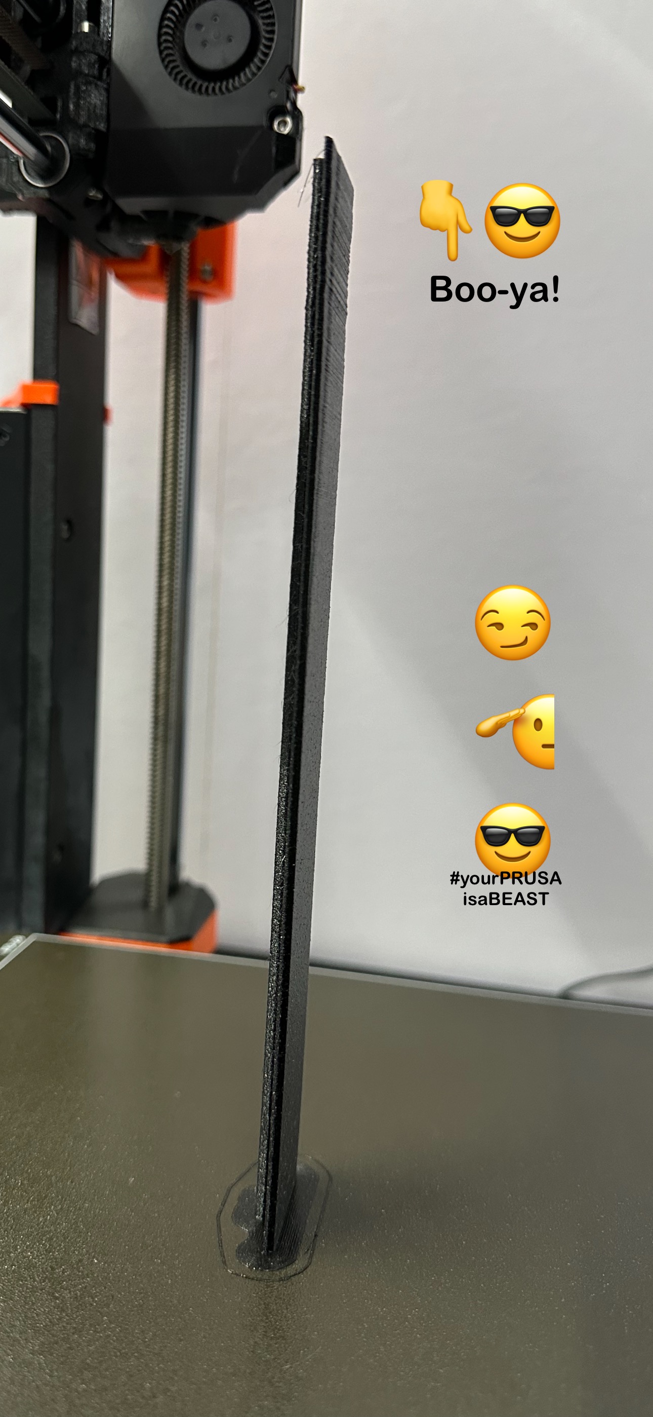 Oh-so-Stylish MK4/MK4S Extrusion Rail Covers (a PRUSA CHALLENGE print) — thumbnail 9