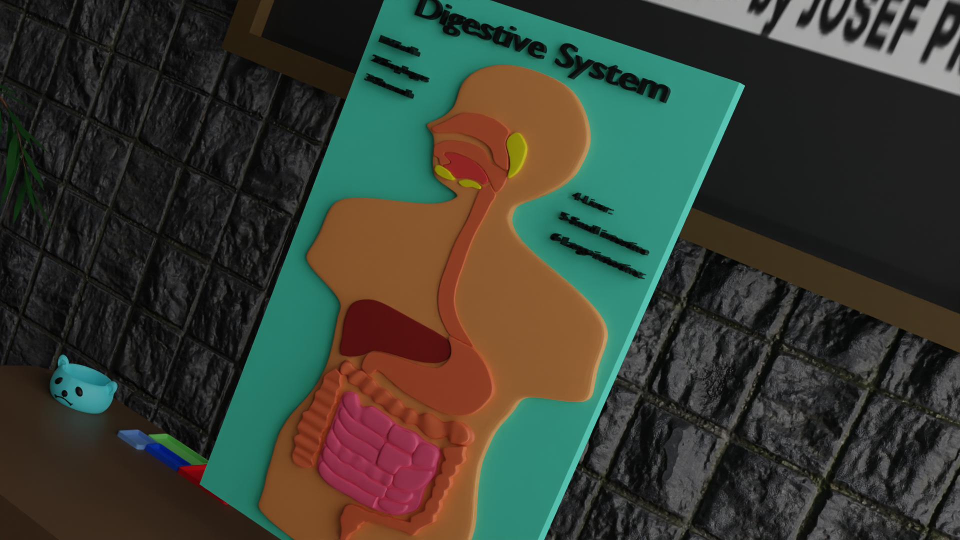 Interactive Model of the Digestive System