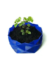 Vase mode planter