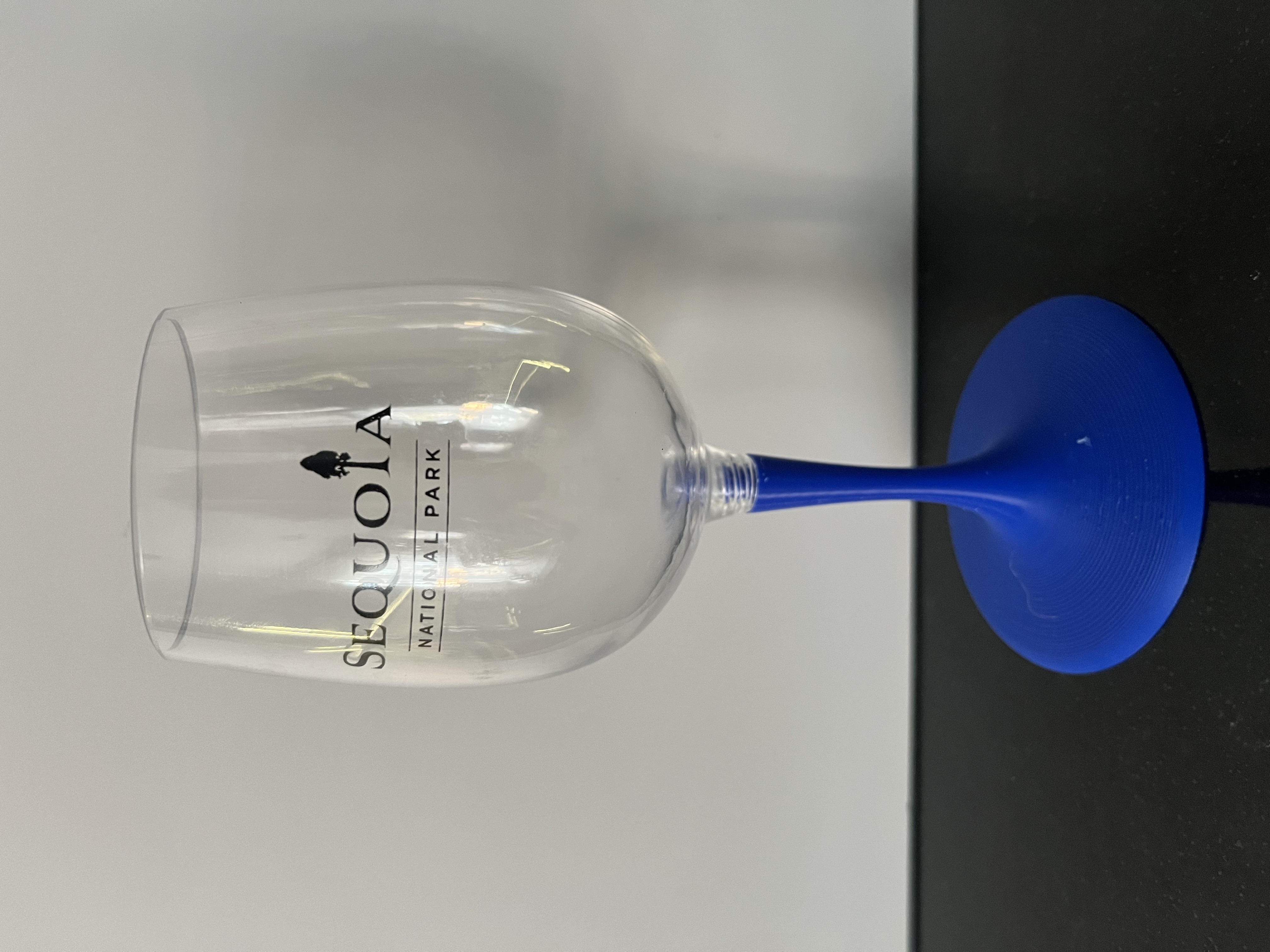 GSI Outdoors Nesting Wine Glass