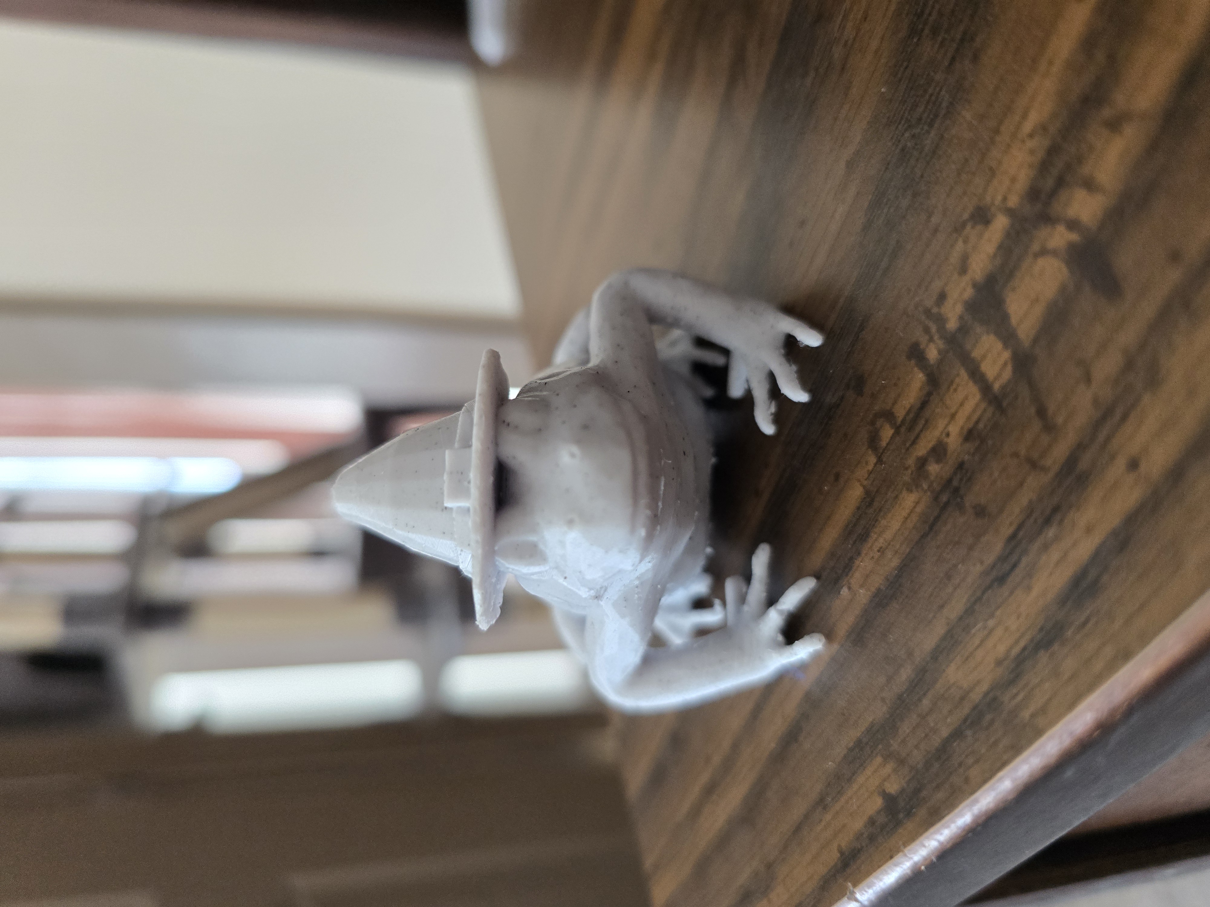 Frog with Wizard Hat