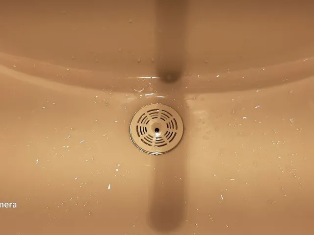 Wash Basin Stainer
