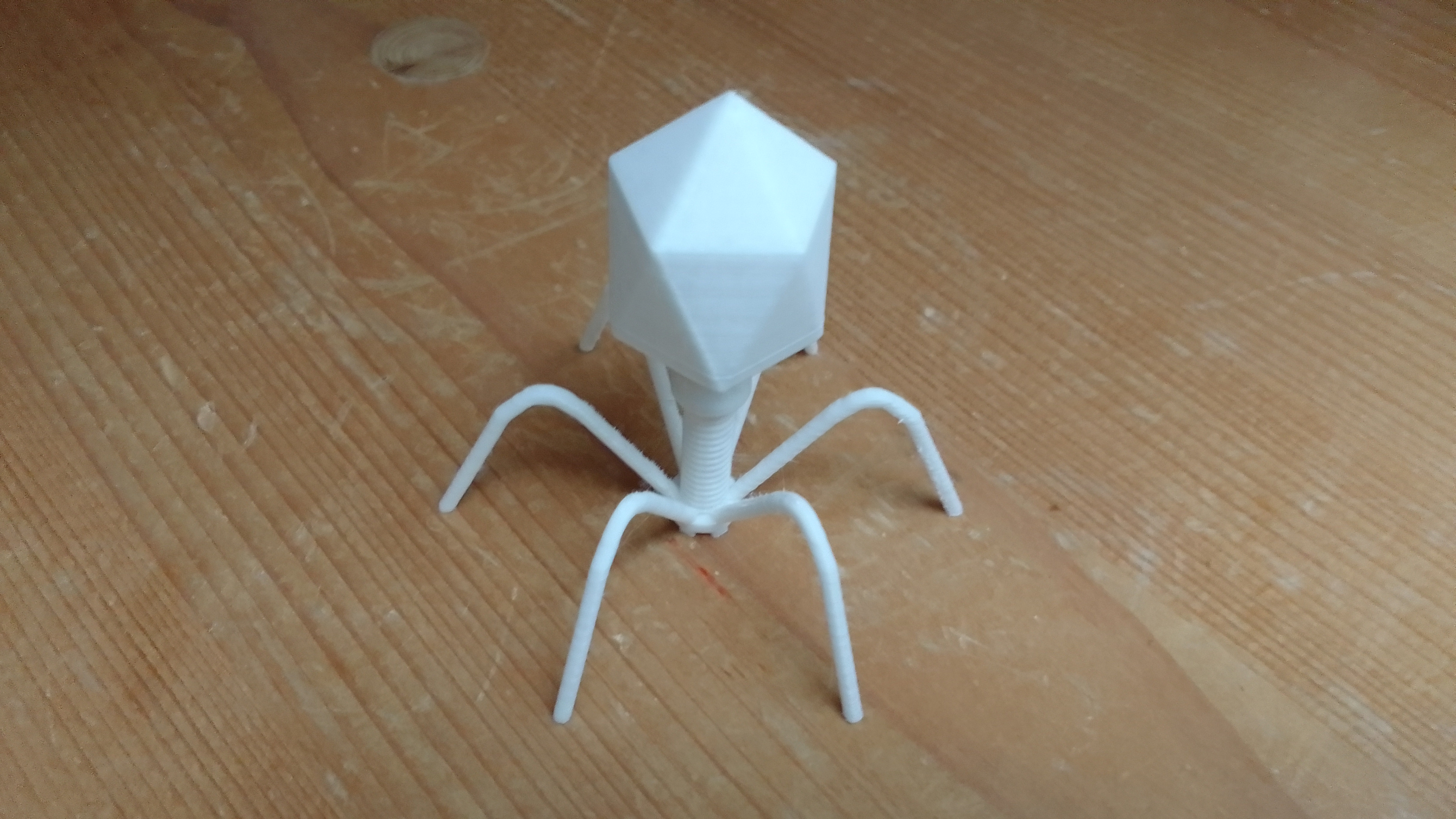 Bacteriophage — thumbnail 2