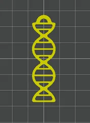 DNA key holder