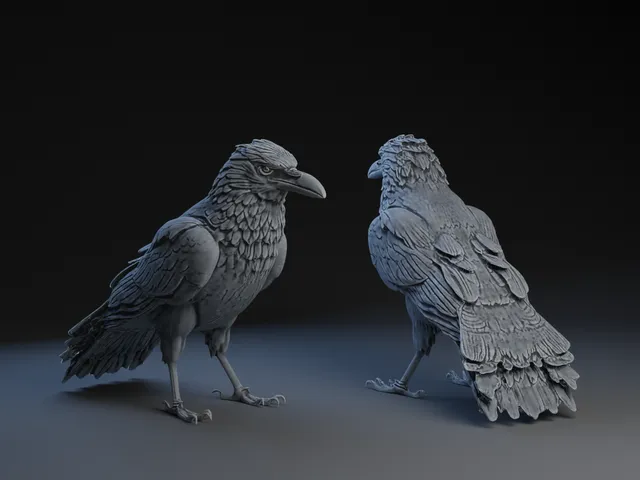 Preening (Puffing) Raven