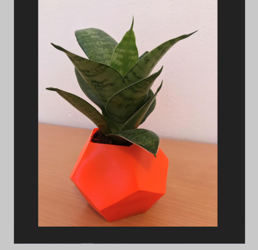 Elegant Vases/ Flowerpots