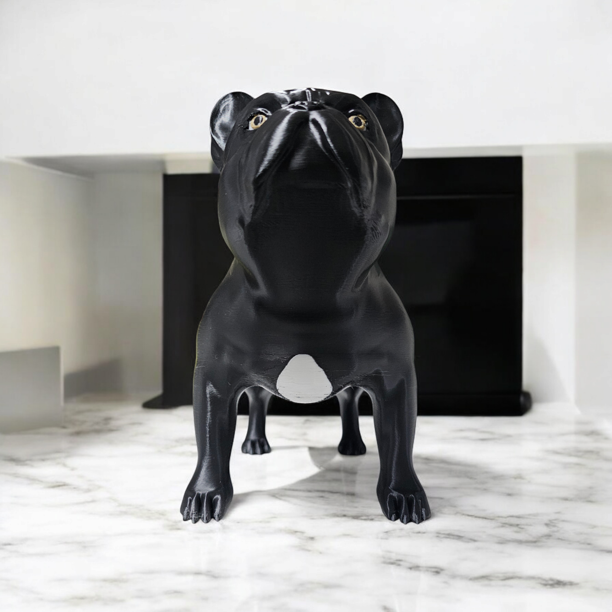 Adorable French Bulldog