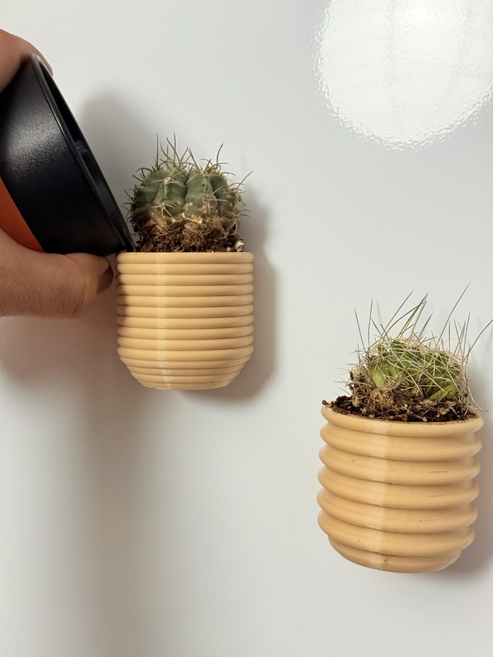 Magnetic cactus pots