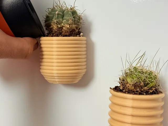 Magnetic cactus pots