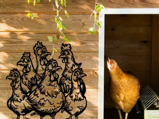 Chicken Wall Art