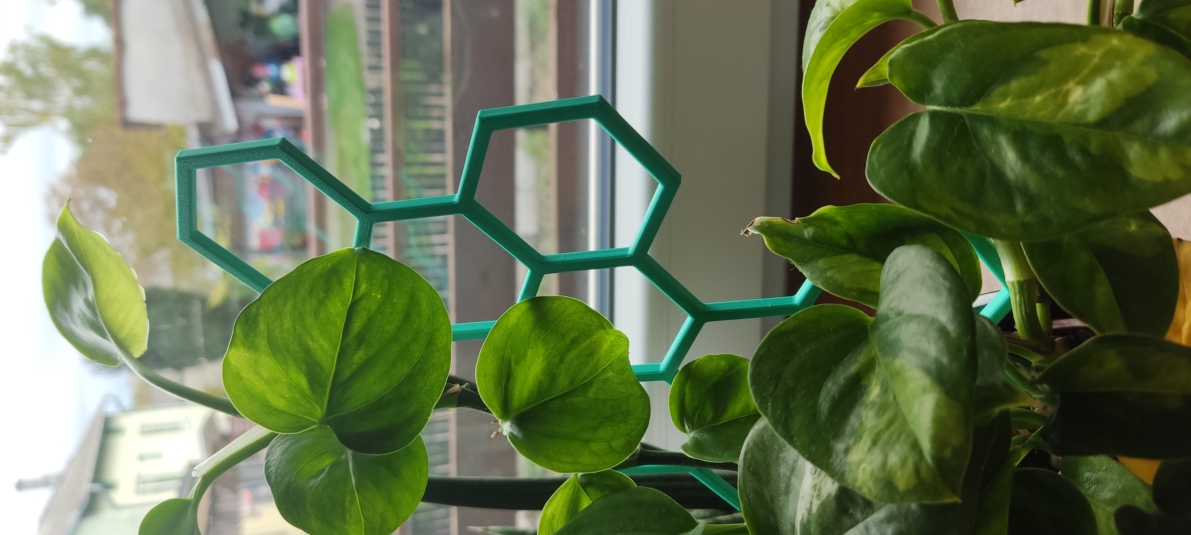 Honeycomb plant trellis