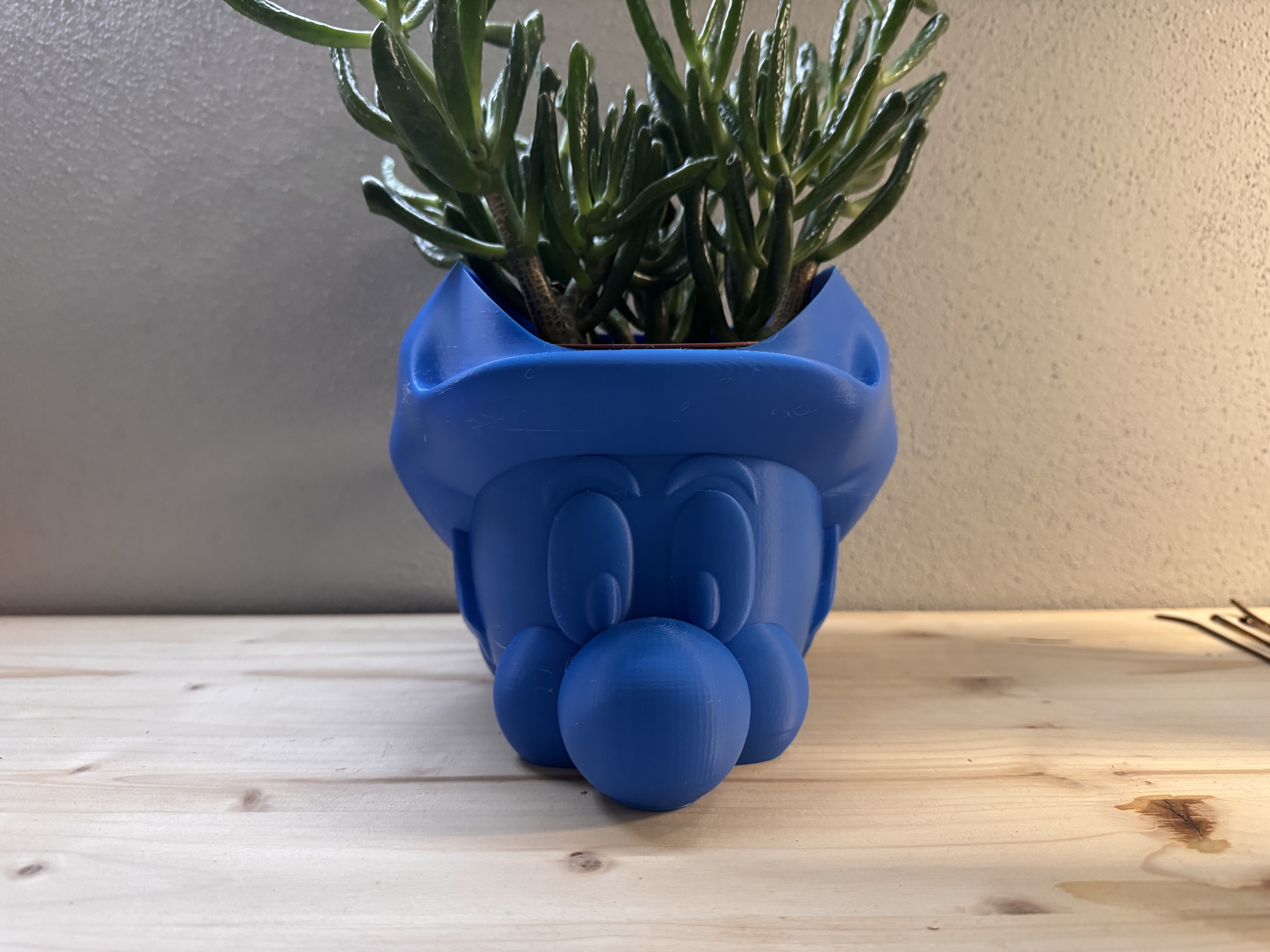 Mario Luigi Vase Cup