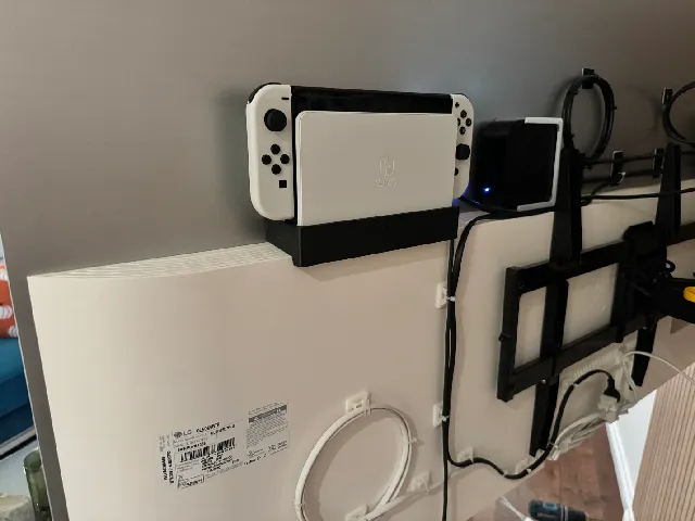 Switch mount
