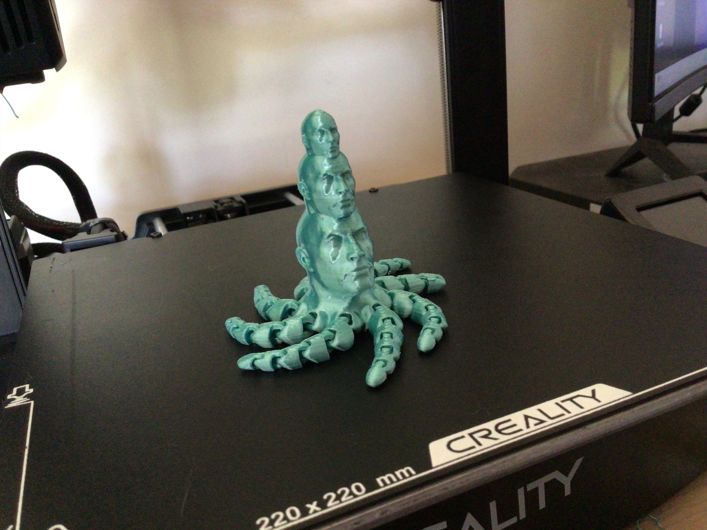 Rock on the Rock on the Rocktopus