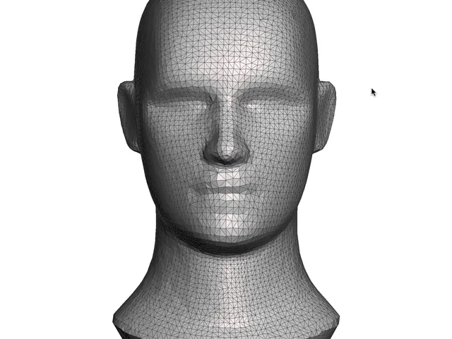 Human head