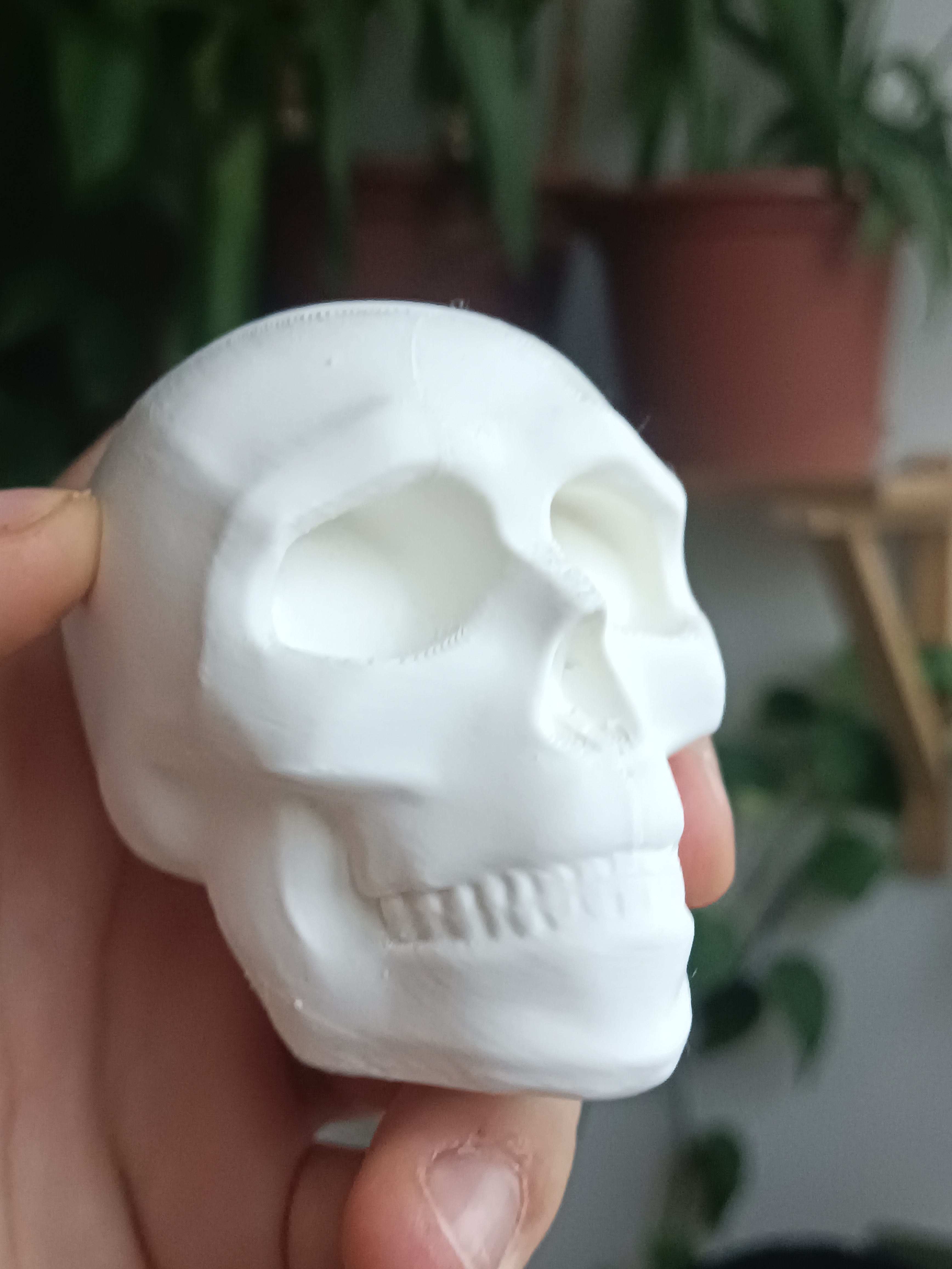Stylized Halloween Skull