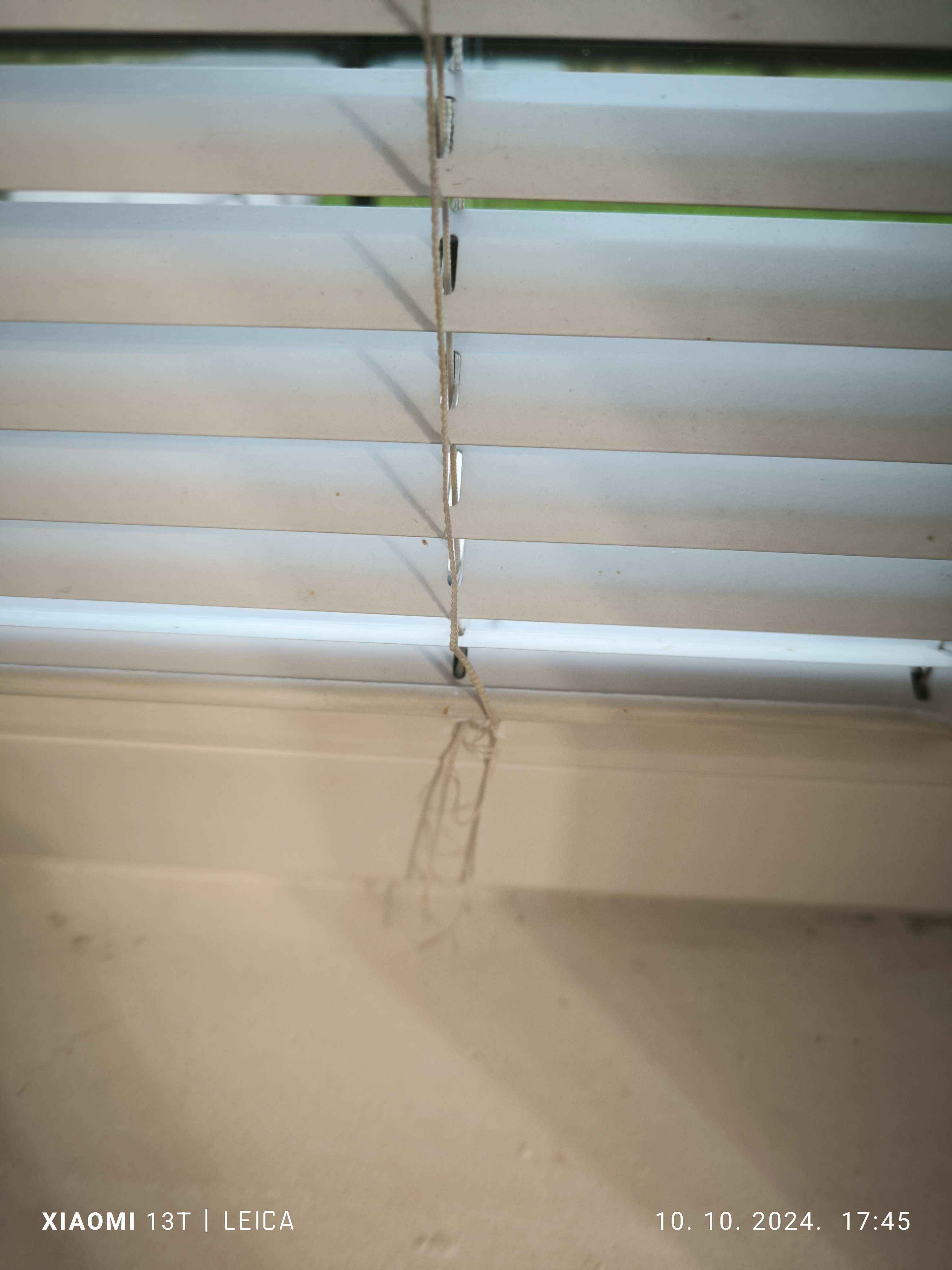 blind window by Misko1987 Download free STL model