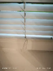 Venetian blind window