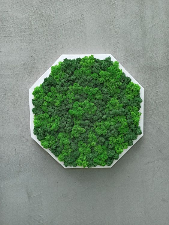 Octagon Moss Frame