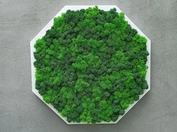 Octagon Moss Frame
