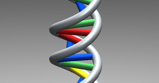 DNA to scale. by unknown | Download free STL model | Printables.com