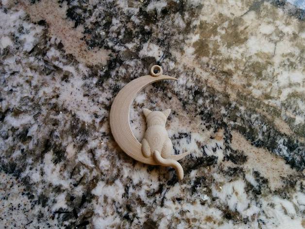 Cat and moon