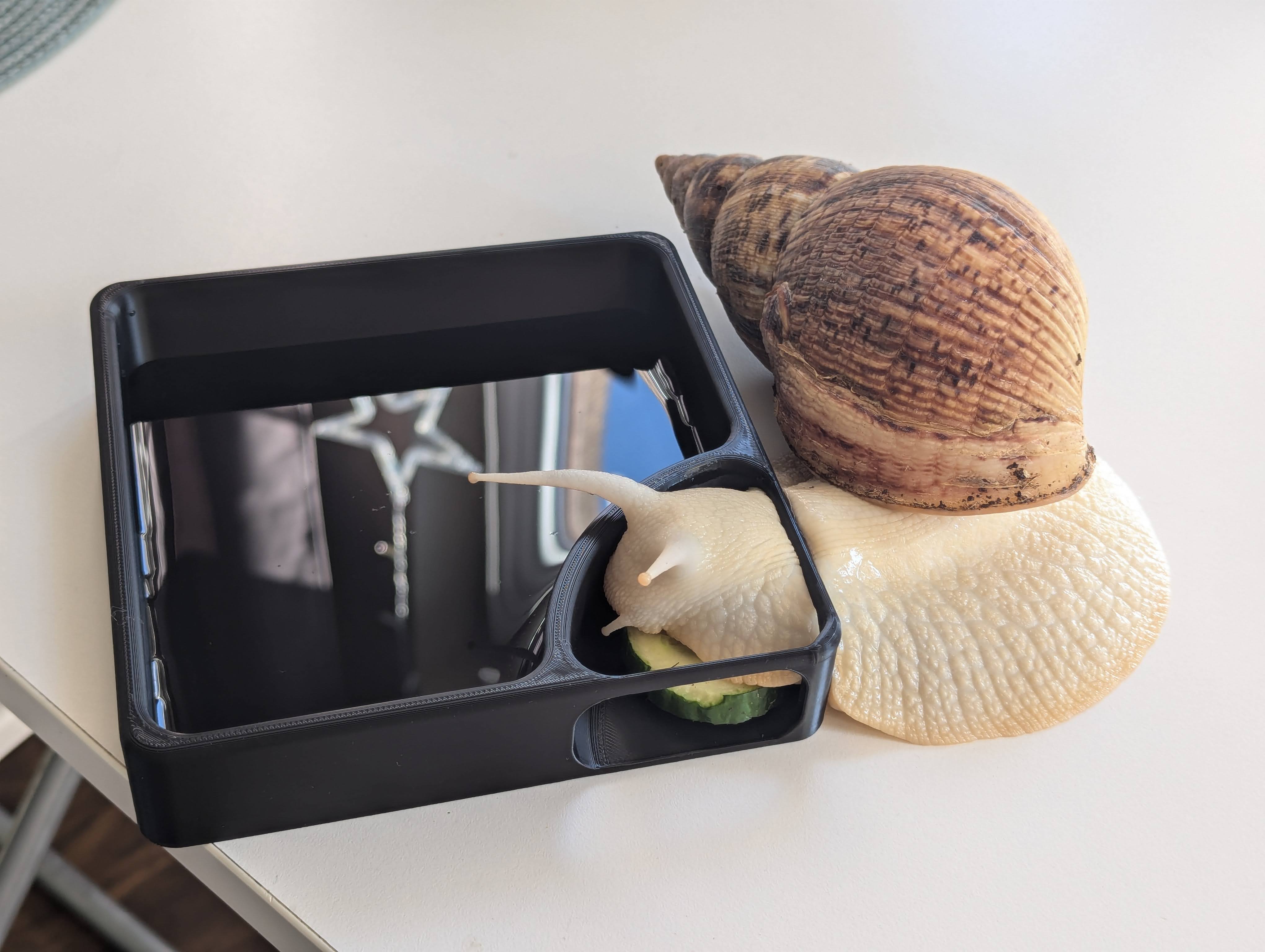 Snail feeder and pool — miniatura 2