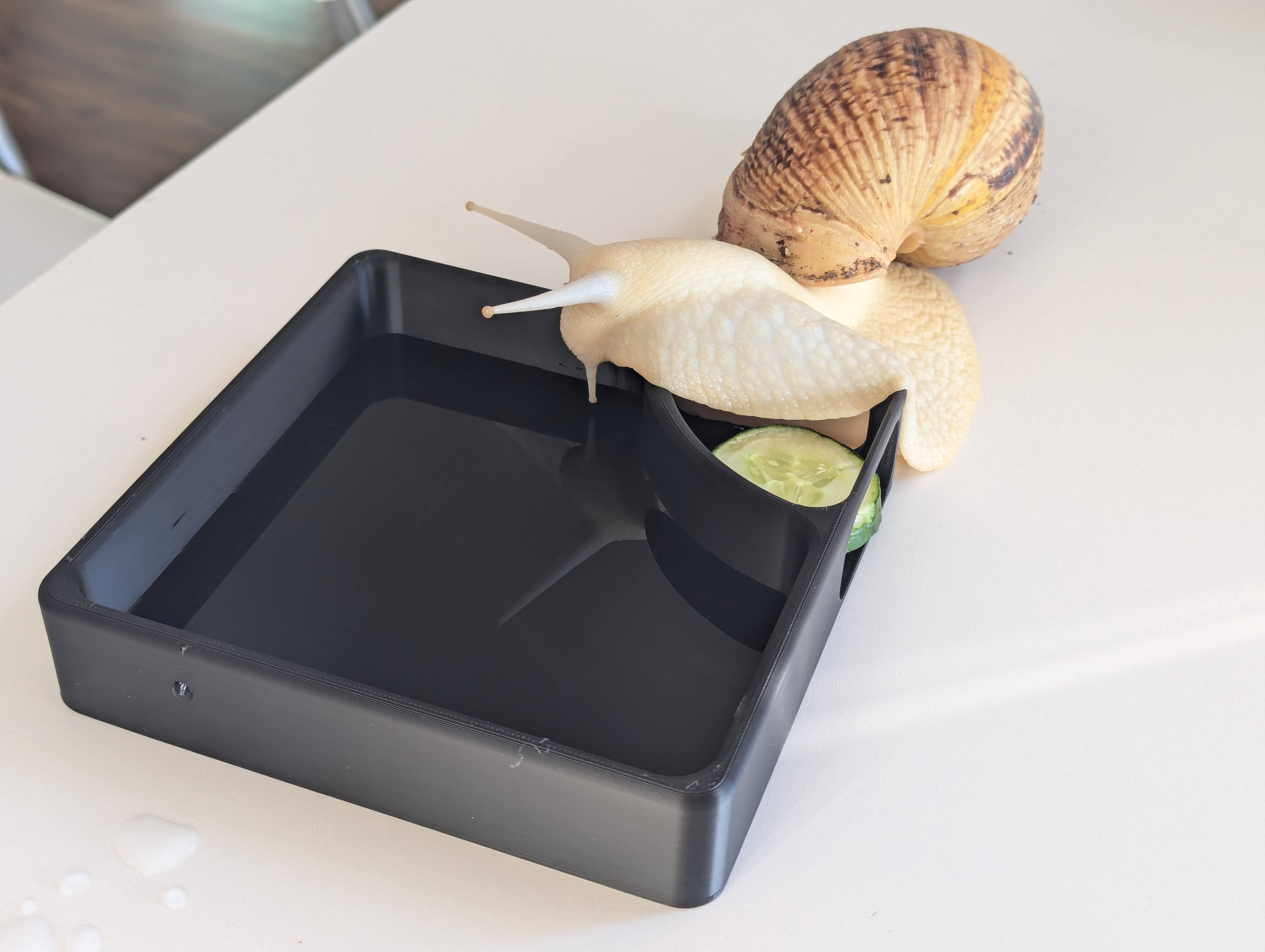 Snail feeder and pool — miniatura 3