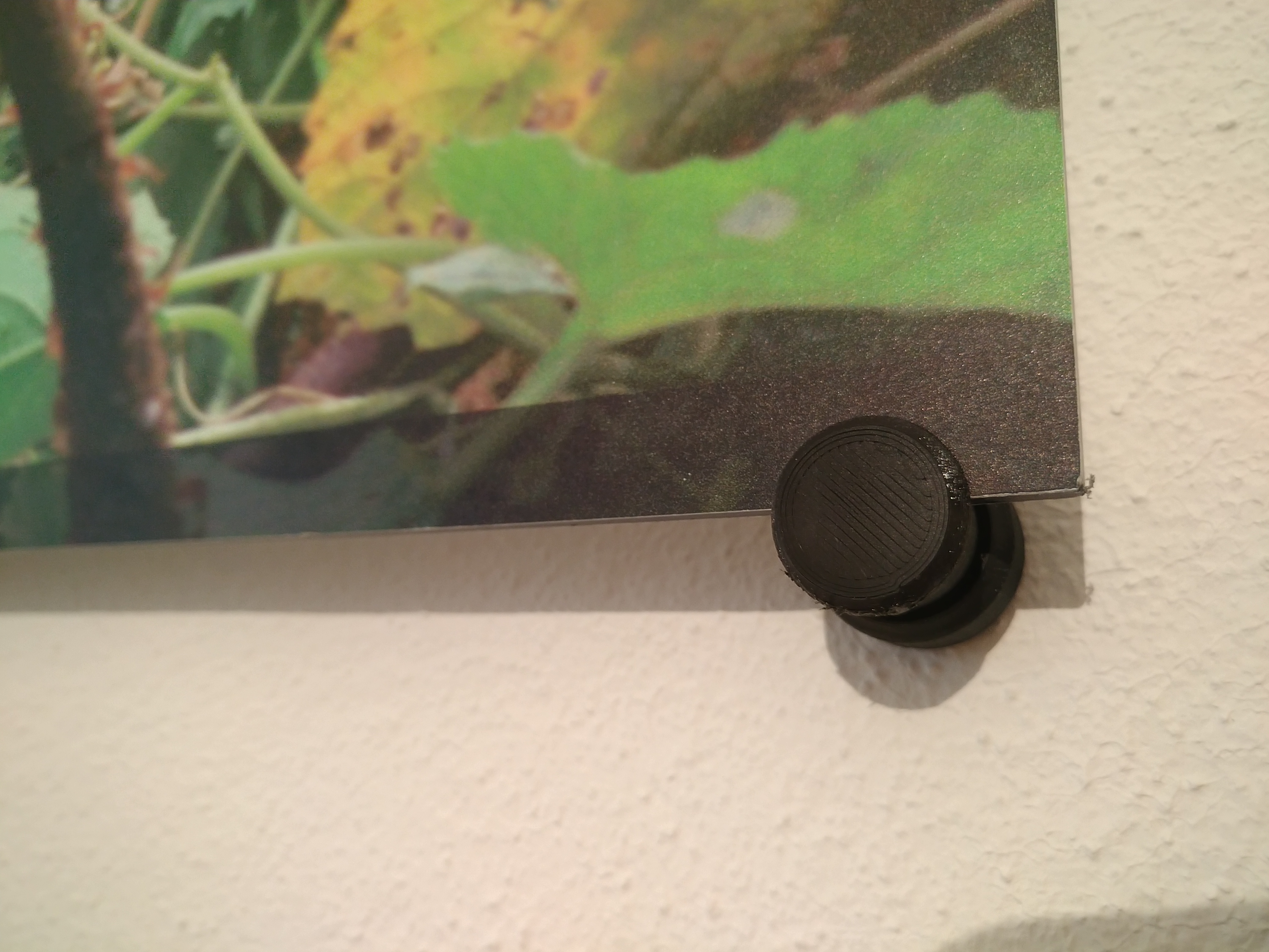 Knob - Wallmount for panel/ picture