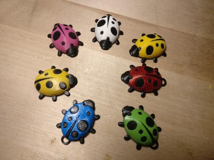 Ladybug - bicolor - keyring/magnet - no MMU
