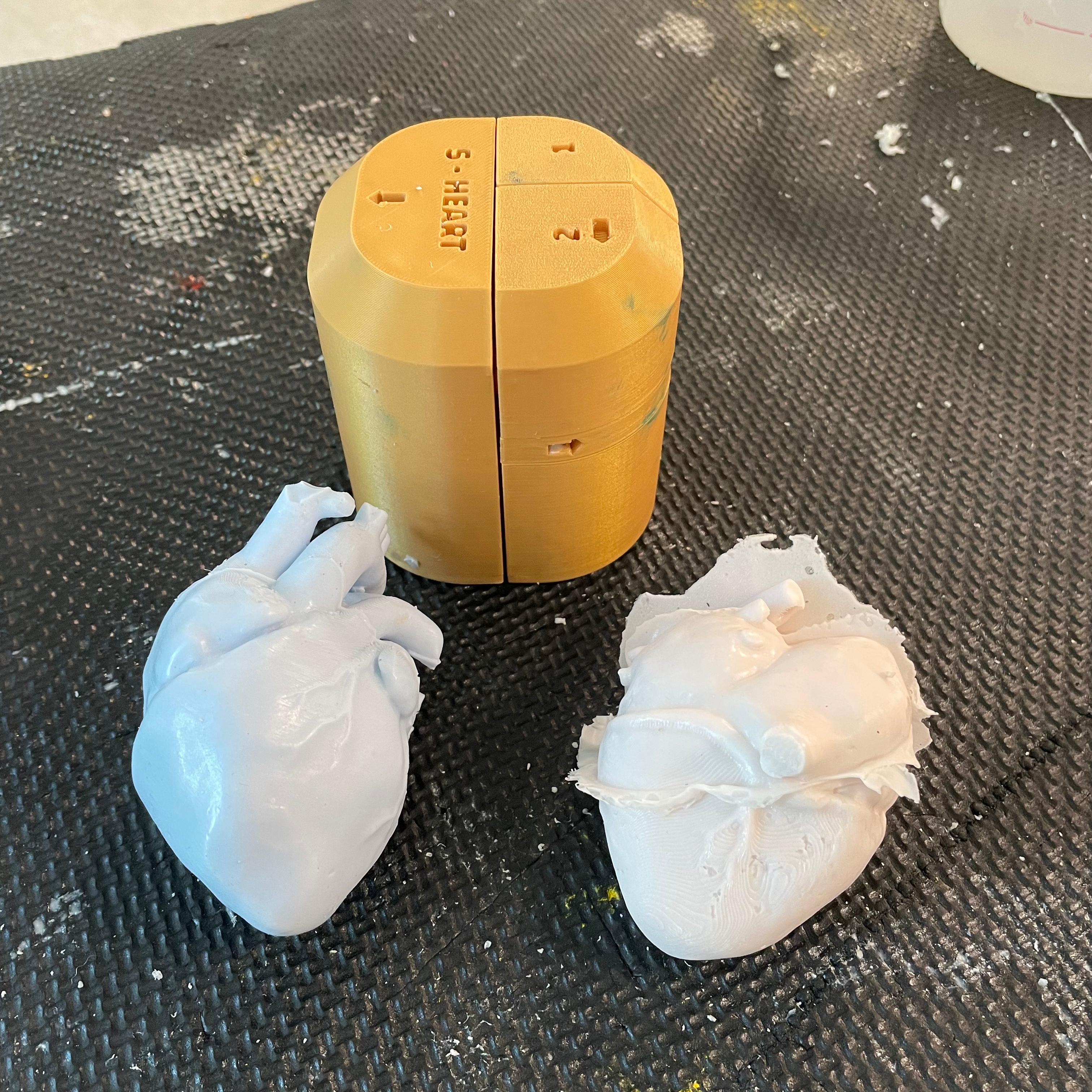 Anatomical Heart Mold 3D model thumbnail