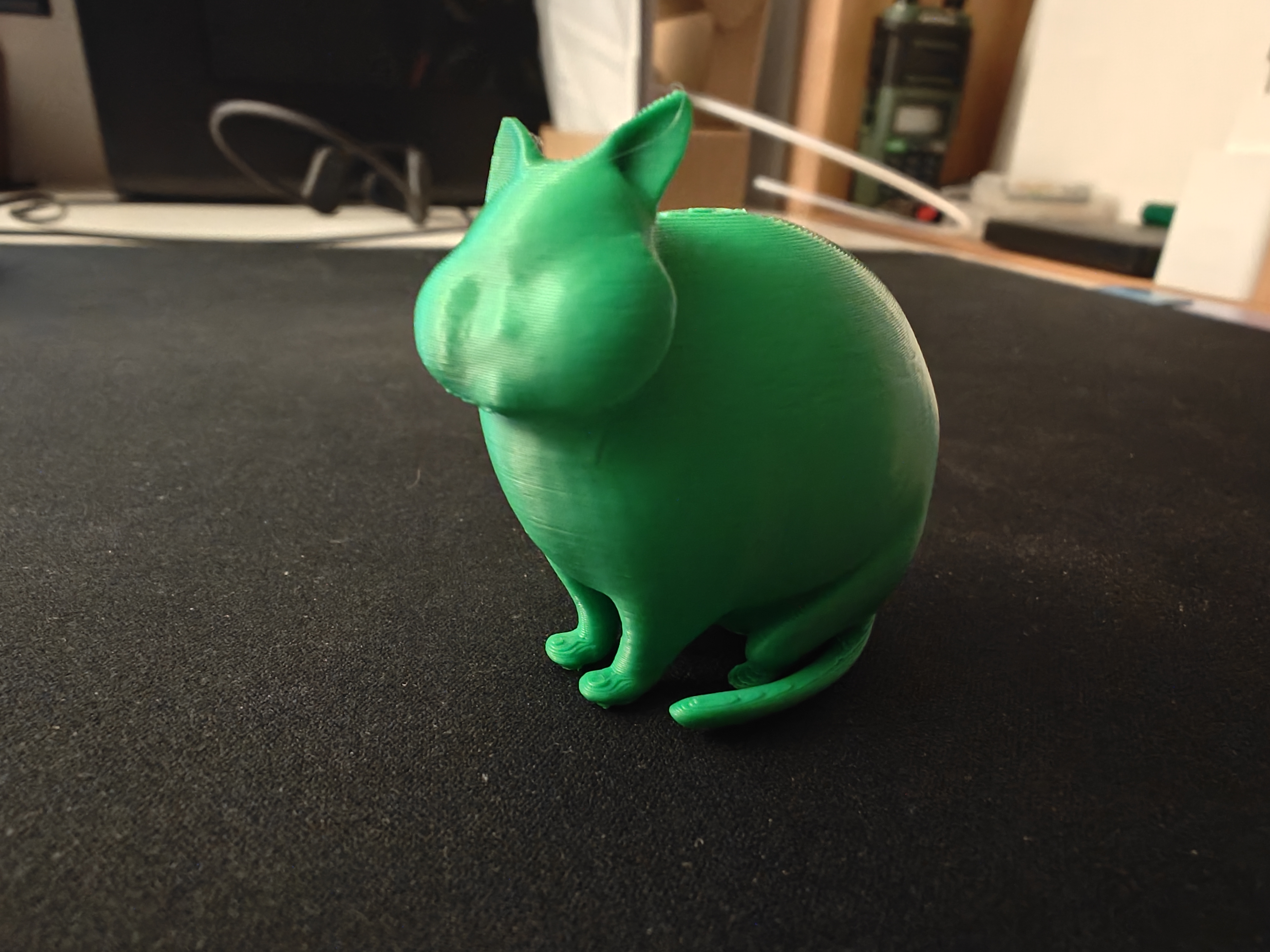 Chubby Cat v1