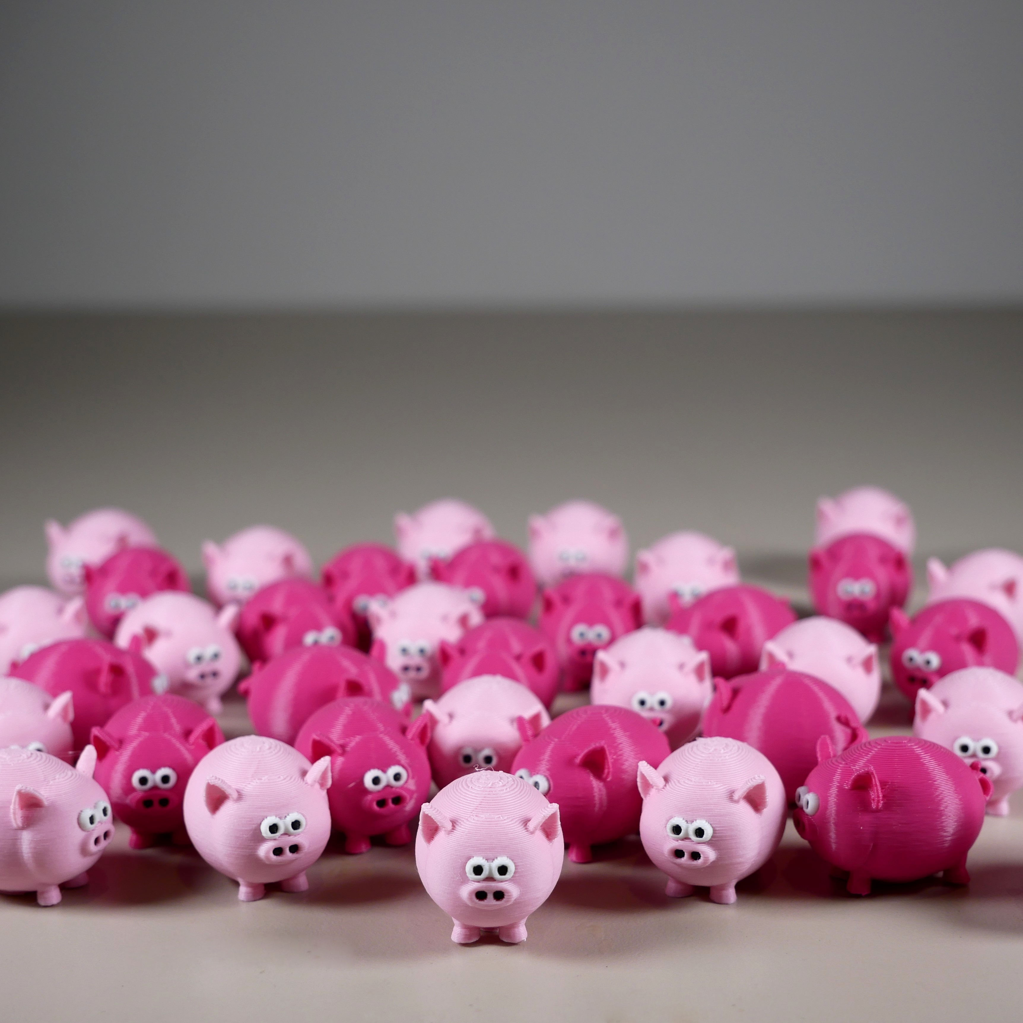 Teeny Tiny Pig