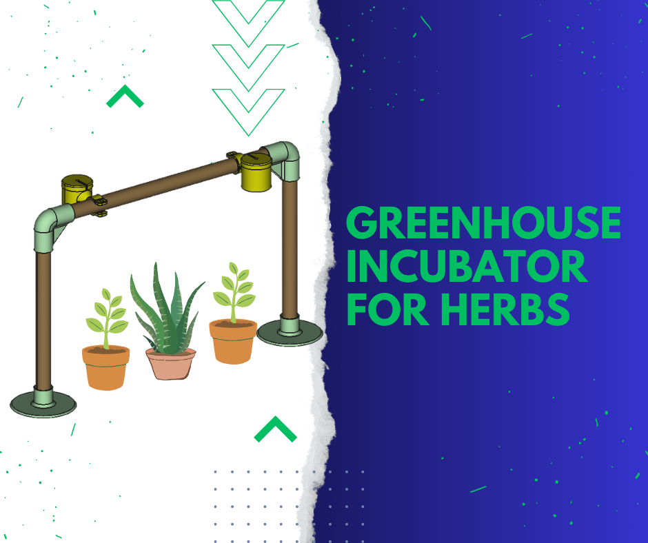 Greenhouse / incubator for herbs