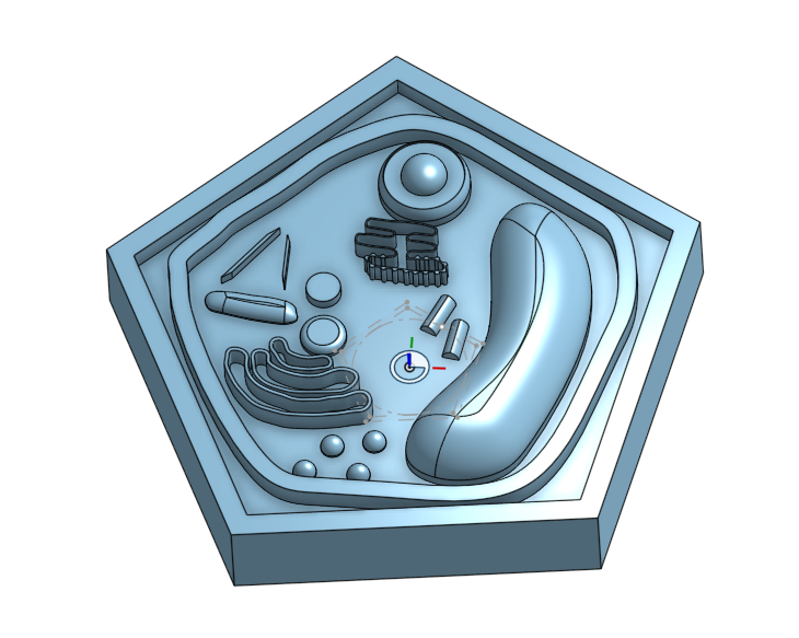 Miniatura 2 do modelo 3D Plant Cell Model