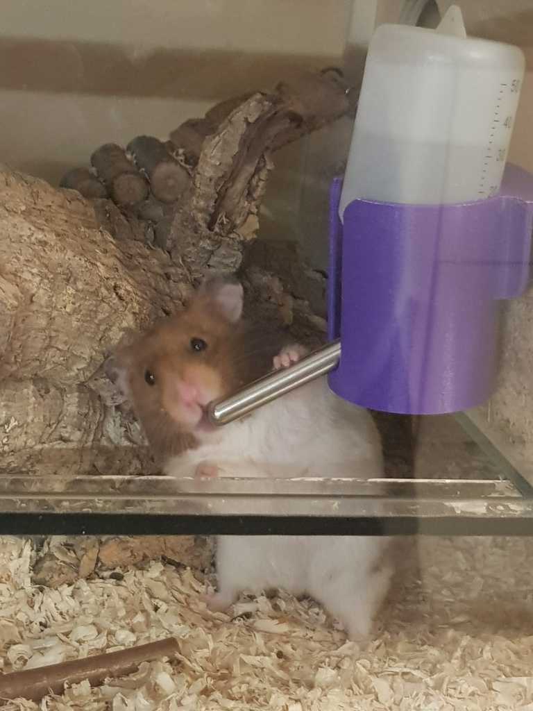 Hamstertränke Halter (klein)