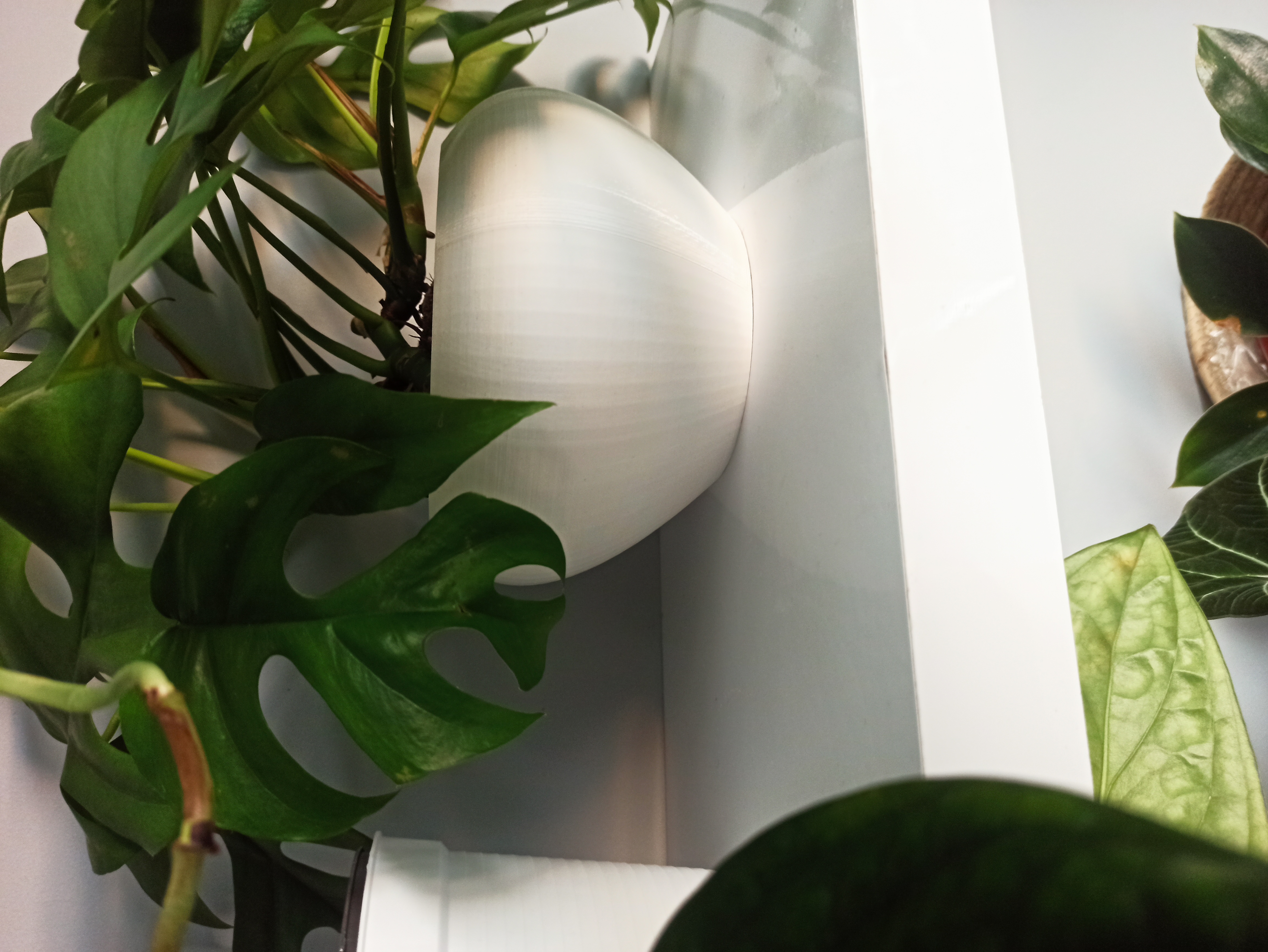 Rounded plant pot