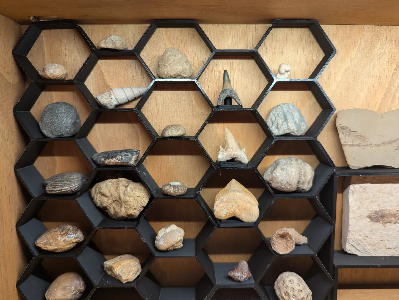 Hexagon display shelves parametric by Steve 3d | Download free STL ...