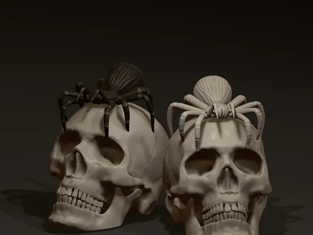Skull with spider