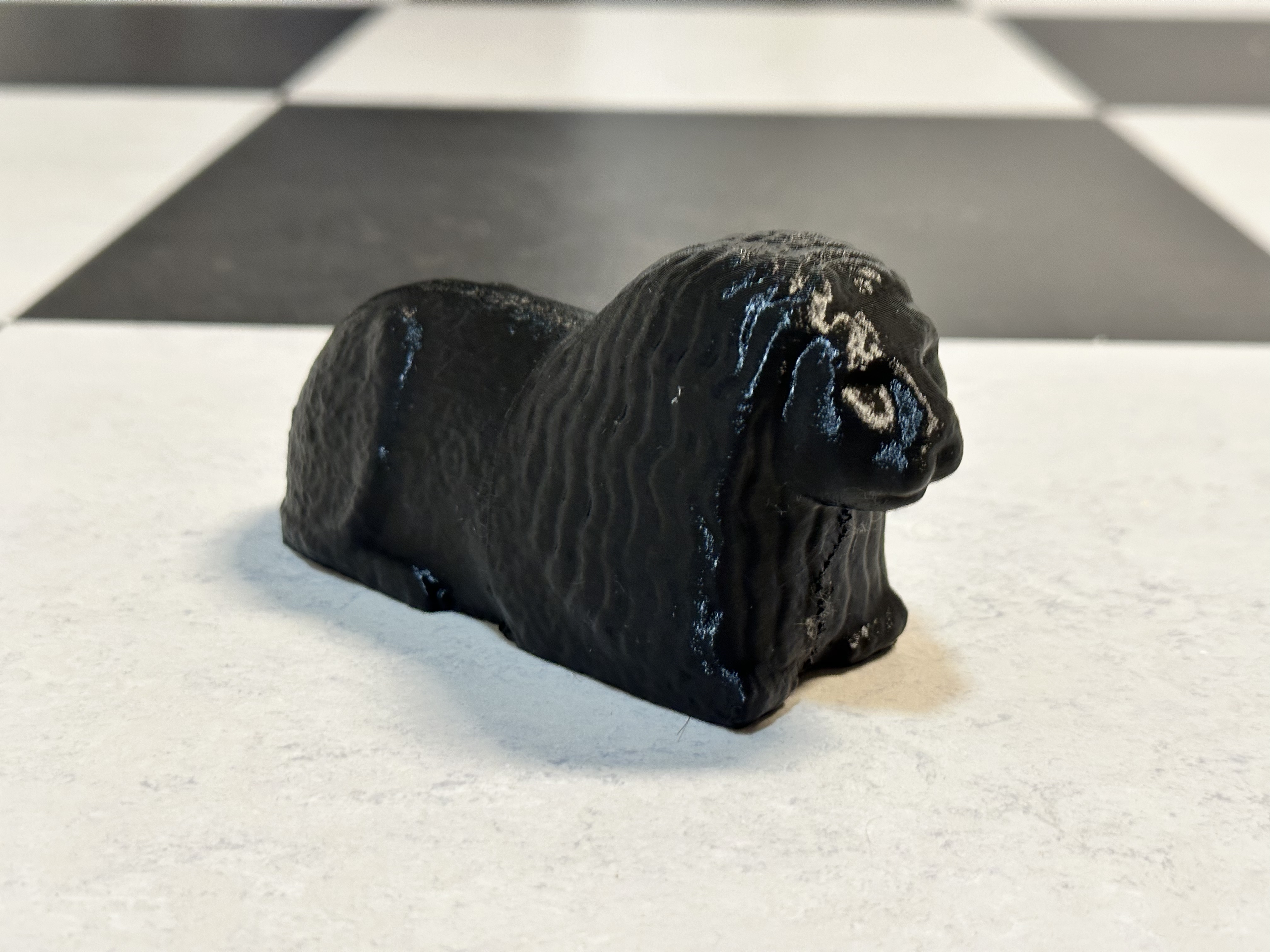 LionScan