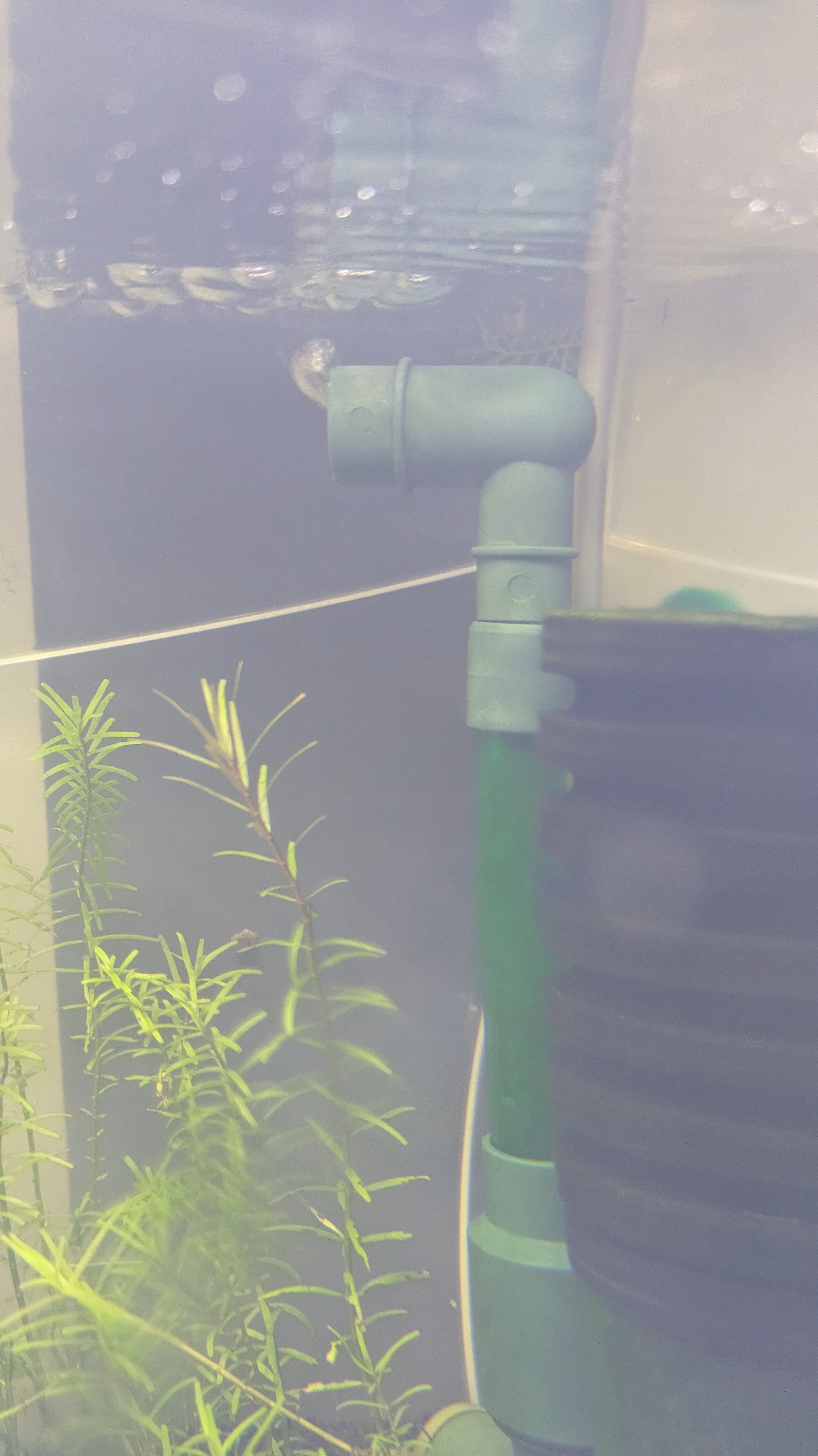Aquarium Filter Diffusor — miniatura 2