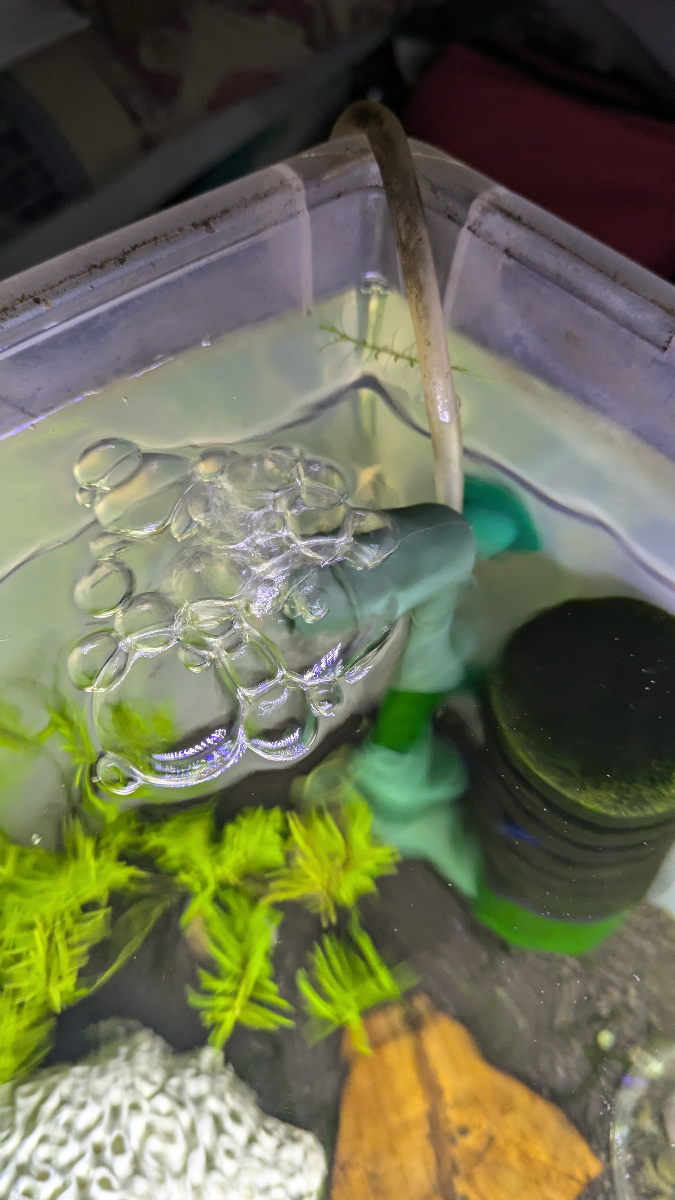 Aquarium Filter Diffusor