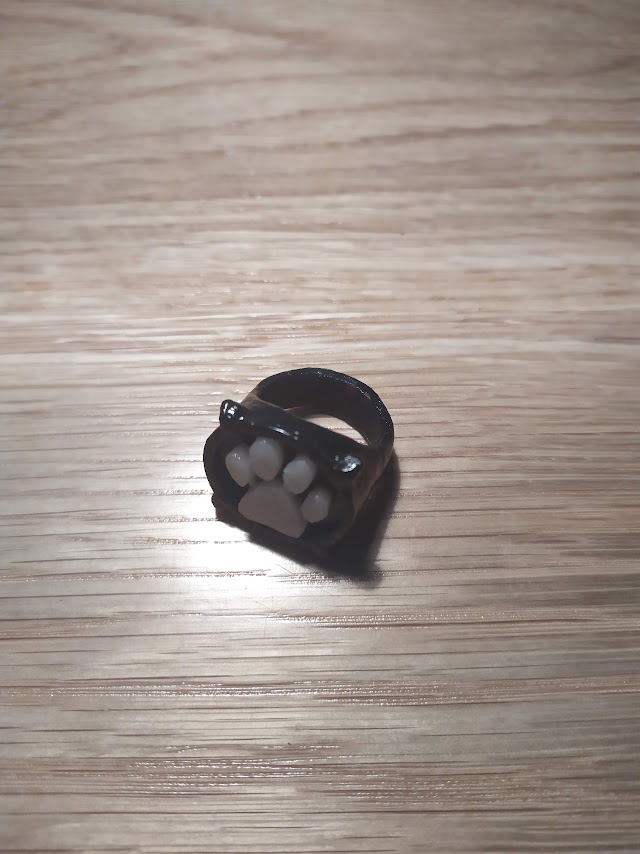 cat noir ring and box — miniatura 5